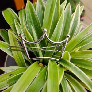 Metal Clip Crown Silver