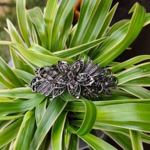 Rakshitha Clips